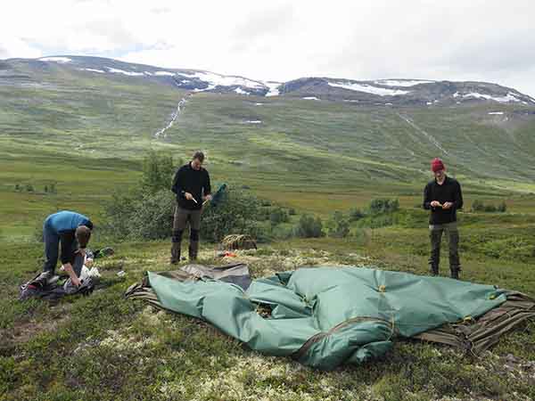 Image description