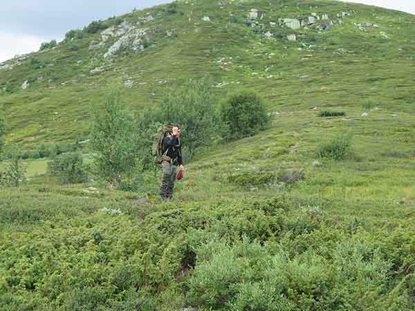 Image description