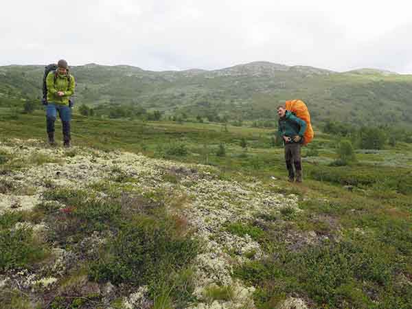Image description