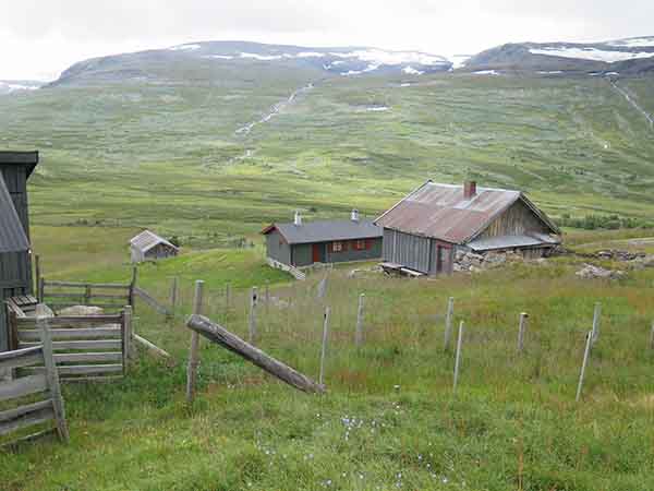 Image description