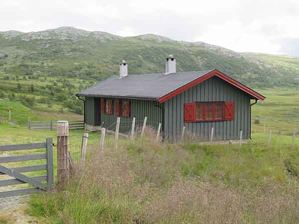 Image description