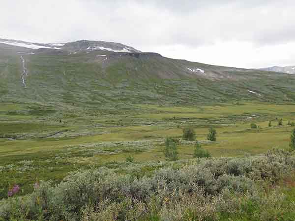 Image description