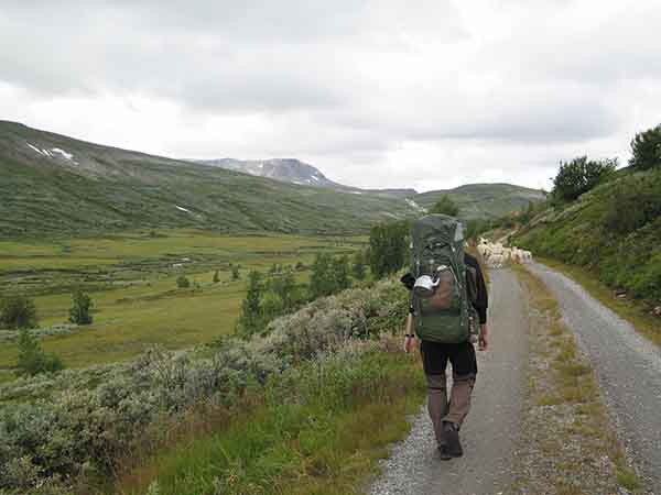Image description