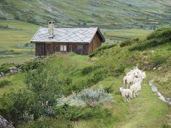 Image description