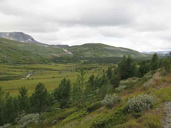 Image description