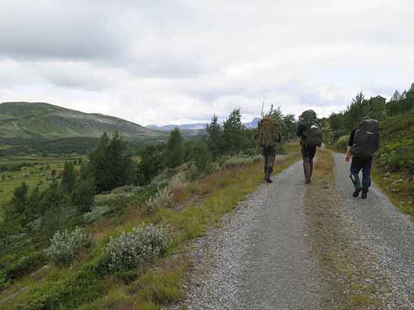Image description