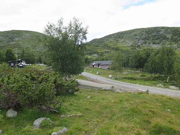 Image description