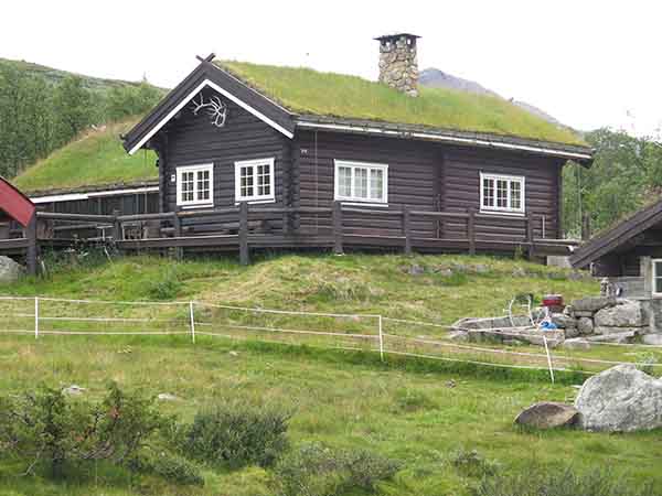 Image description