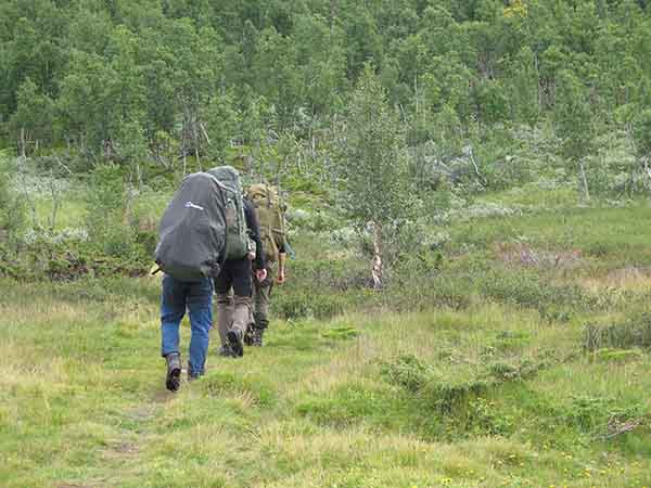 Image description