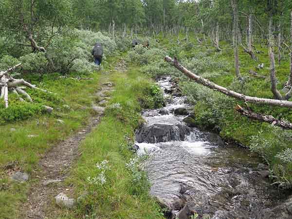 Image description