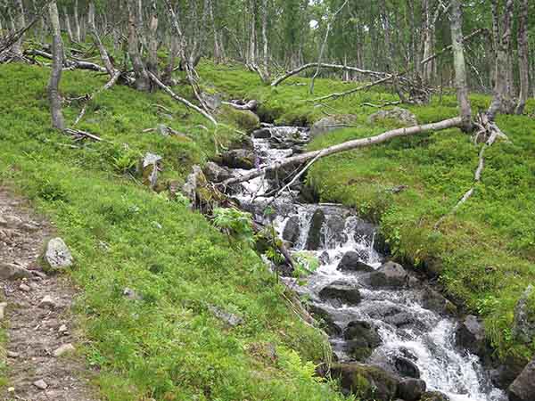 Image description