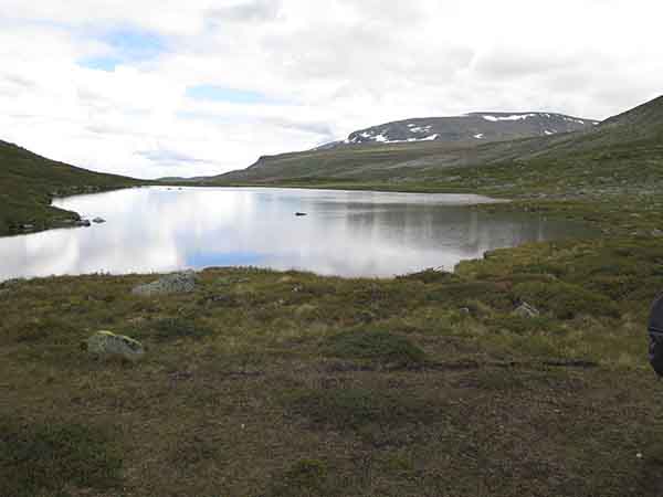 Image description