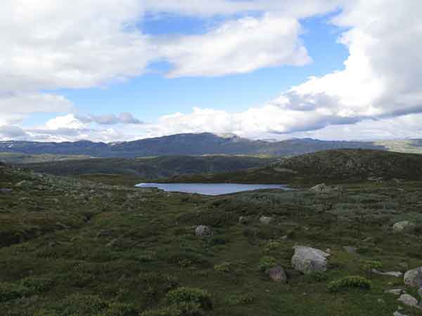 Image description