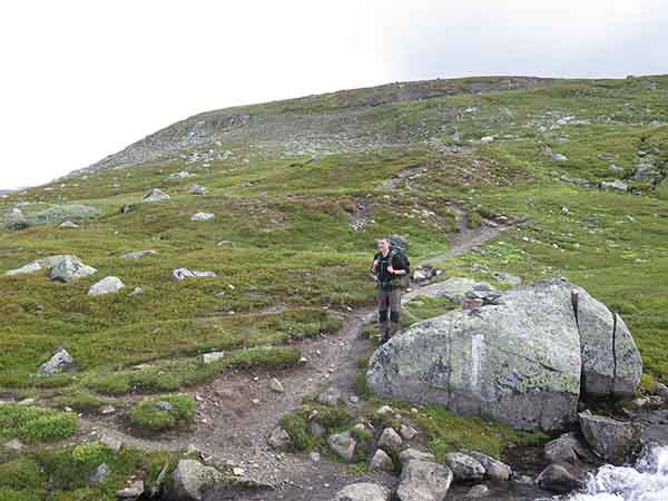 Image description