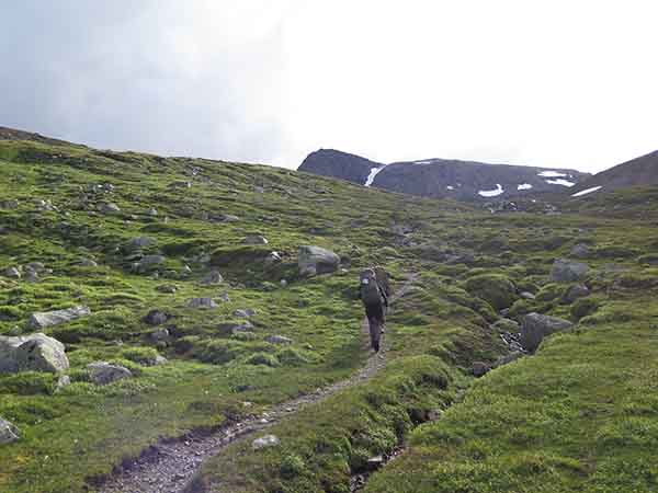 Image description