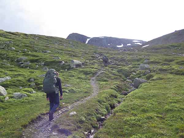 Image description