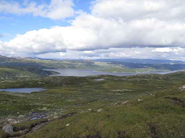 Image description