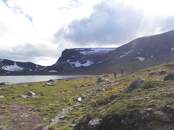 Image description