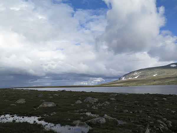 Image description