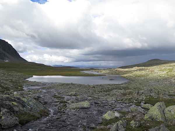 Image description