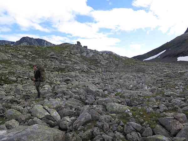 Image description