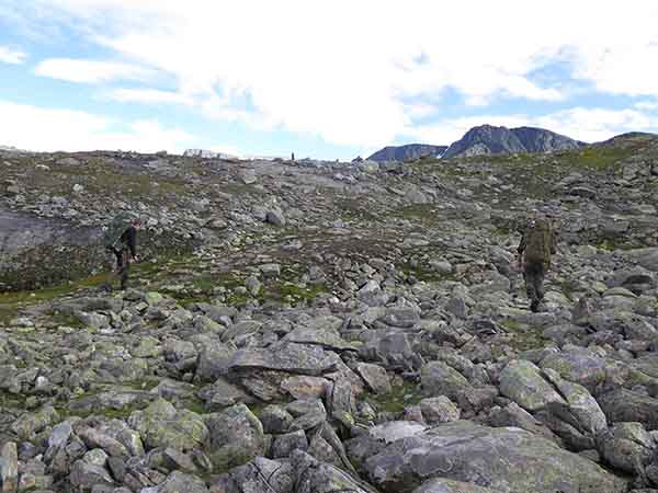 Image description