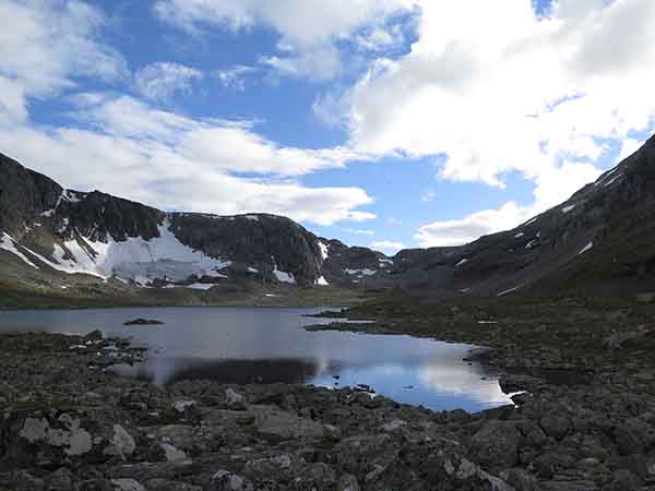 Image description