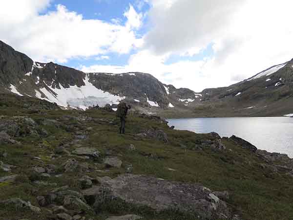 Image description