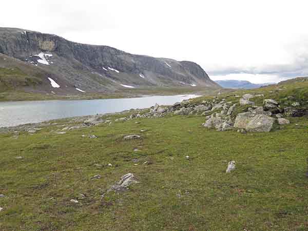 Image description