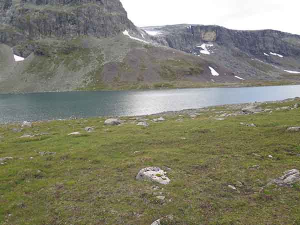 Image description