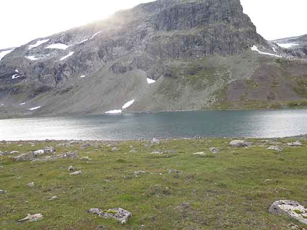 Image description