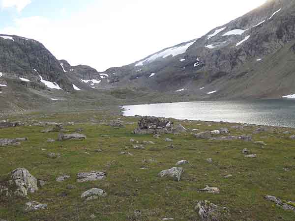 Image description
