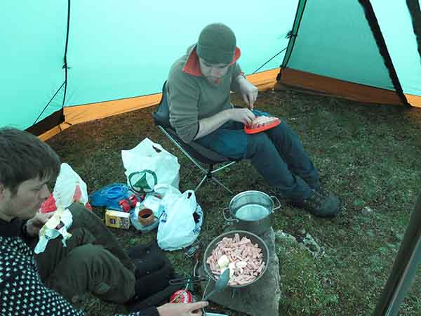 Image description