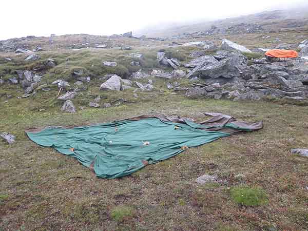 Image description
