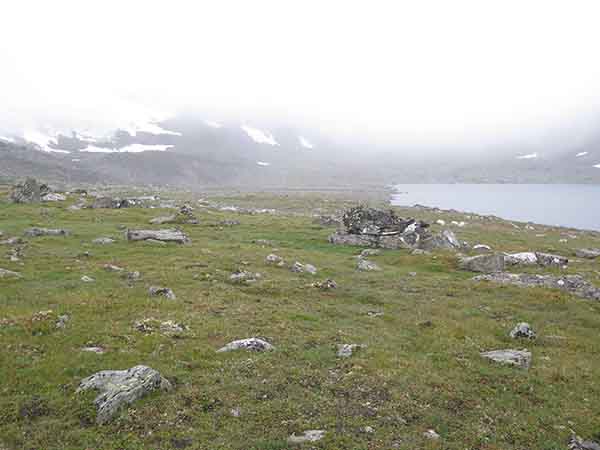 Image description