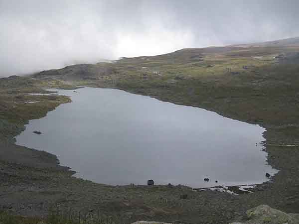 Image description