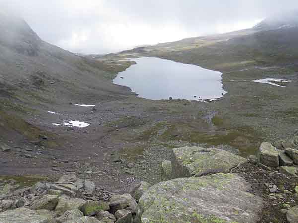 Image description