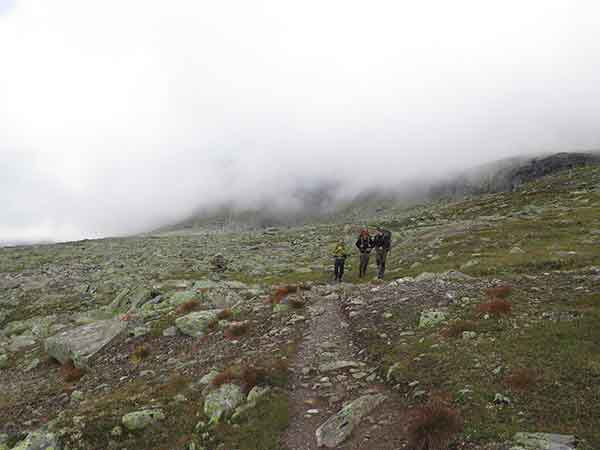 Image description