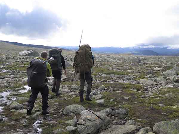 Image description