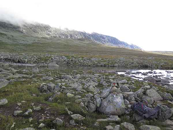 Image description