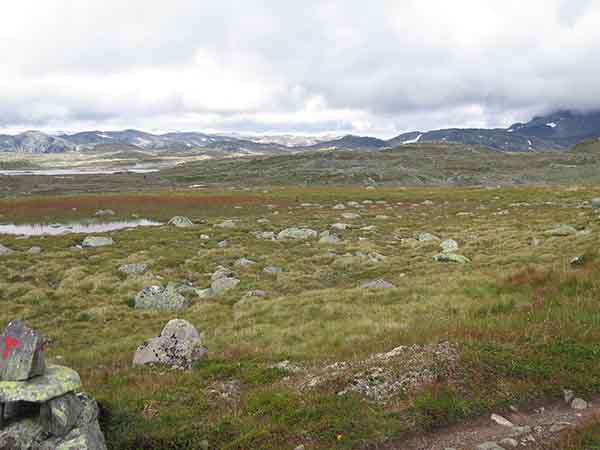 Image description