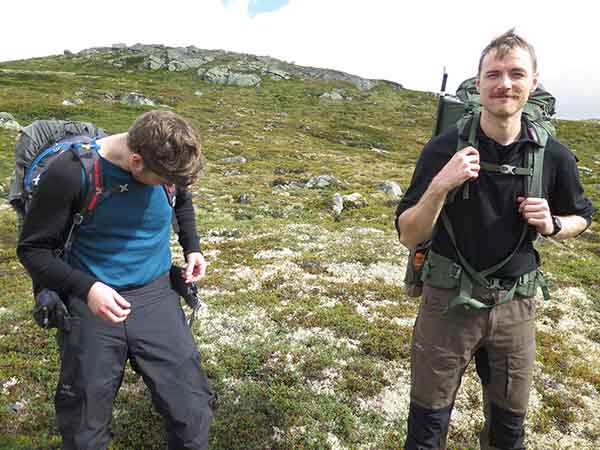 Image description