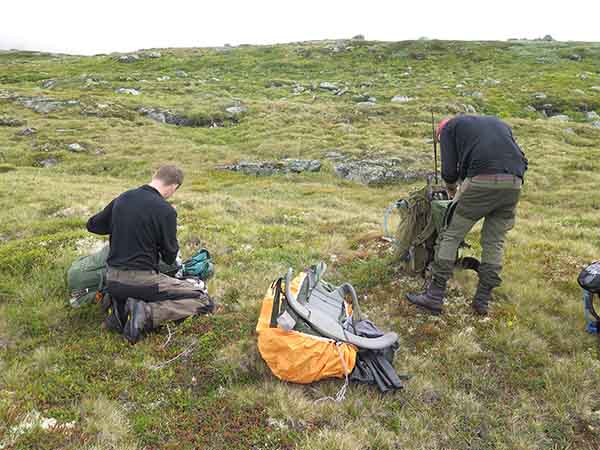 Image description