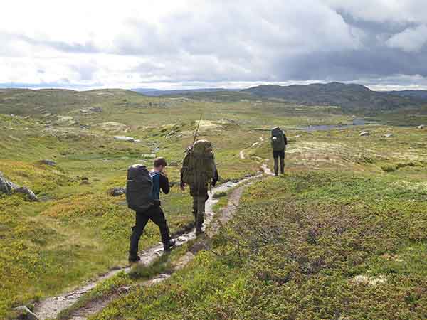 Image description