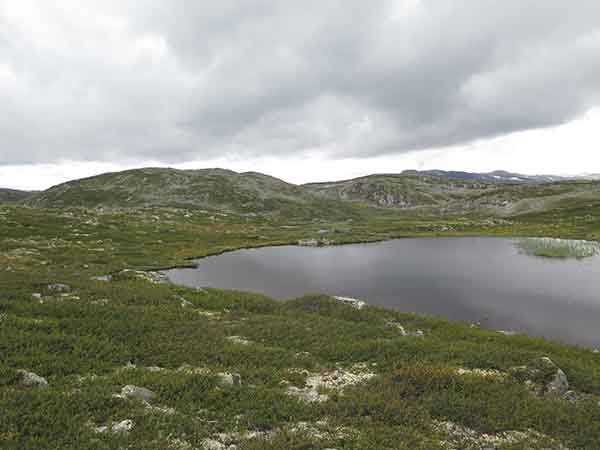 Image description