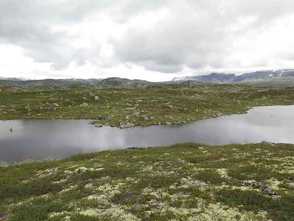 Image description