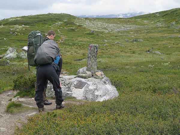 Image description