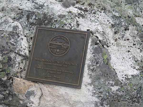 Image description