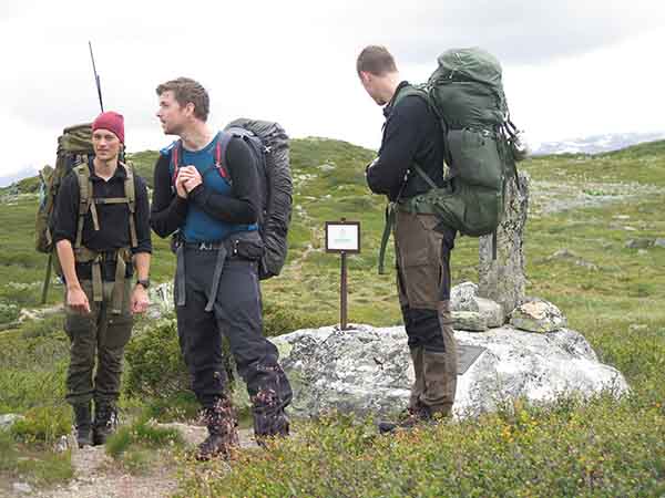 Image description