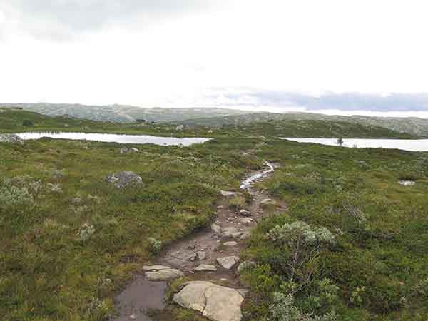 Image description